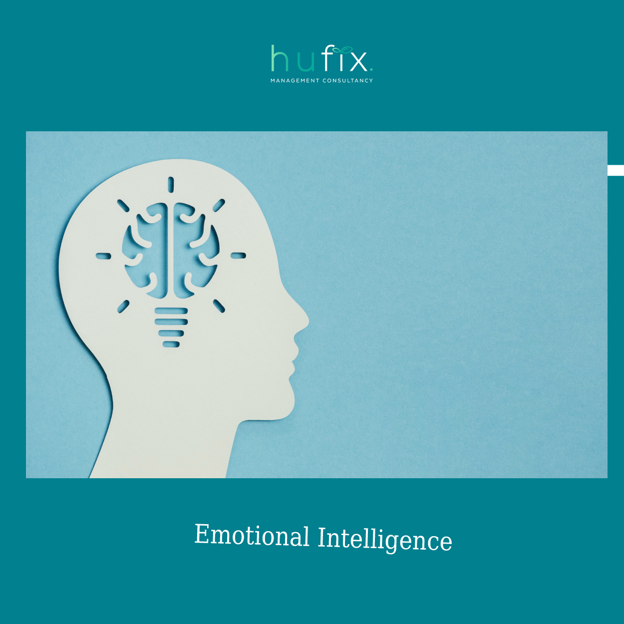 Emotional Intelligence